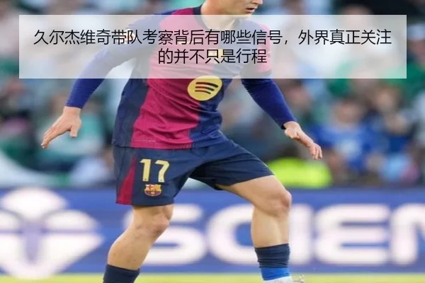 久尔杰维奇带队考察背后有哪些信号，外界真正关注的并不只是行程 | wukongsports